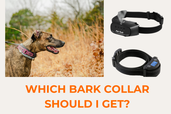 K9 bark collar for small dogs best sale