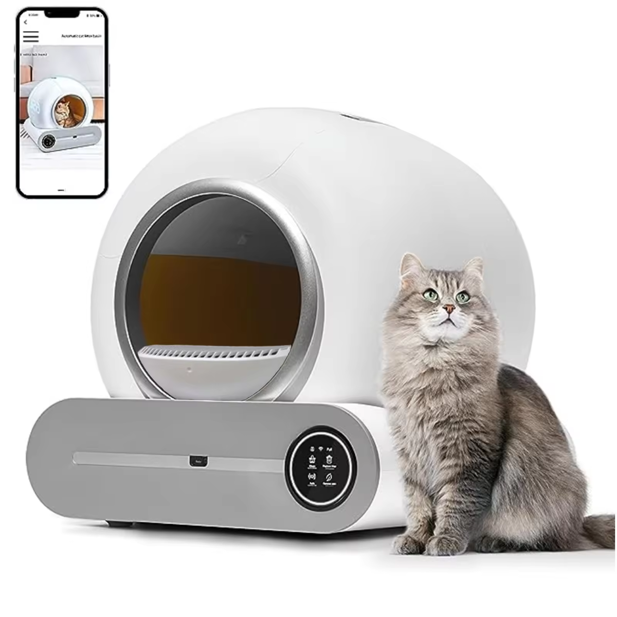 Automatic cat litter box australia hotsell