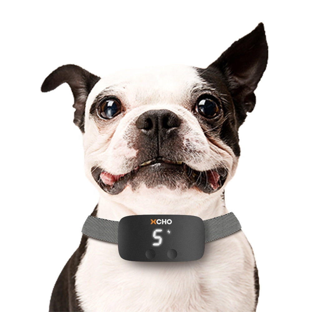 XCHO Bark Collar Black